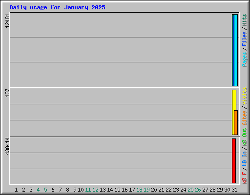 Daily usage for January 2025