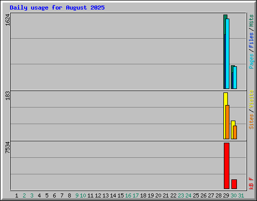 Daily usage for August 2025