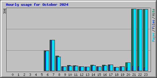Hourly usage for October 2024