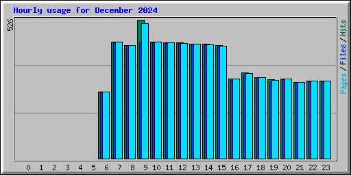 Hourly usage for December 2024