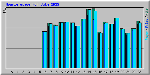 Hourly usage for July 2025