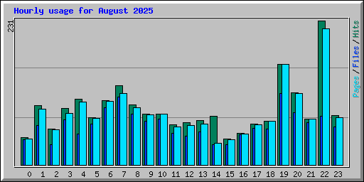 Hourly usage for August 2025