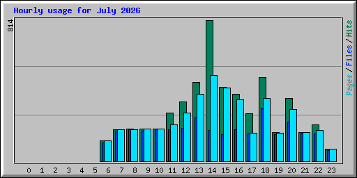 Hourly usage for July 2026